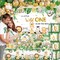 Safari Baby Shower Decorations,262pcs Wild Birthday Decorations Jungle Baby Shower Decorations Plates and Napkin Cups Backdrop Banner Tablecloth Balloons Garland Boxes,Serves 20